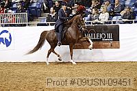 09usn-09451 proof