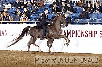 09usn-09452 proof