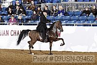09usn-09462 proof