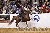 09usn-09476 proof