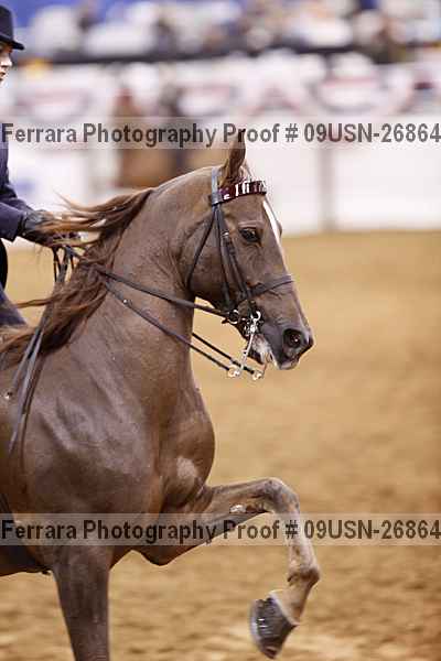 Proof 09usn-26864