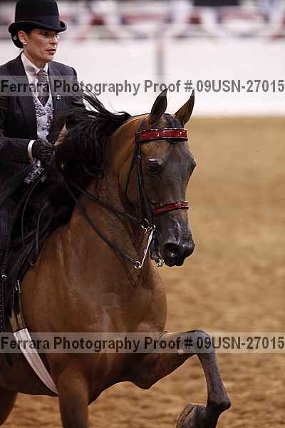Proof 09usn-27015
