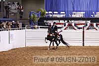 09usn-27019 proof