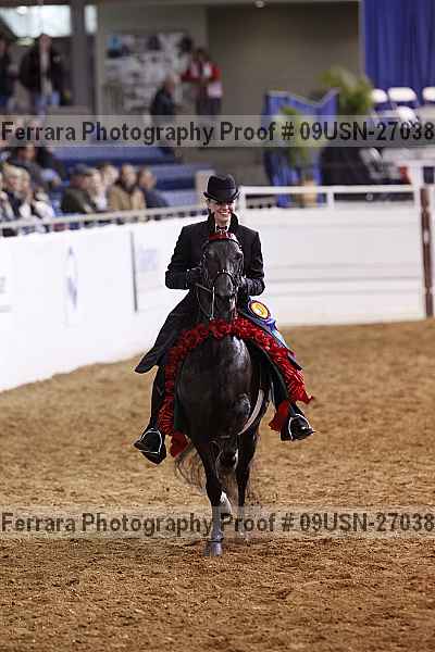 Proof 09usn-27038