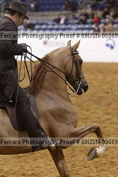 Proof 09usn-00569