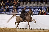 09usn-00573 proof