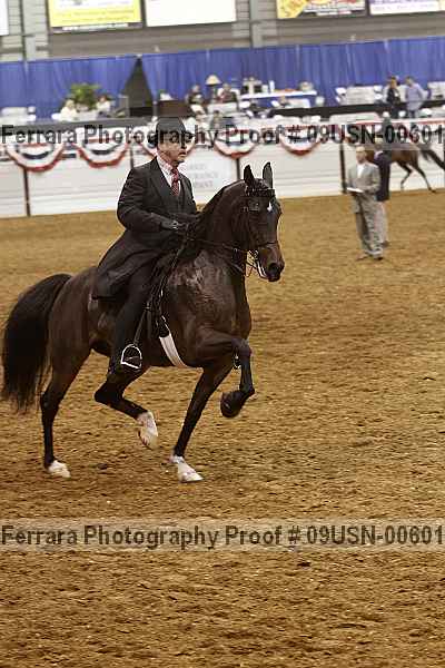 Proof 09usn-00601