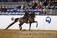 09usn-00604 proof