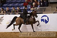 09usn-00617 proof