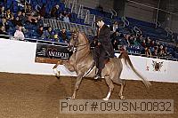 09usn-00832 proof