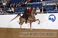 09usn-00851 proof
