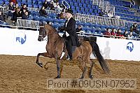 09usn-07952 proof