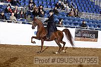09usn-07955 proof