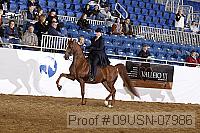 09usn-07986 proof