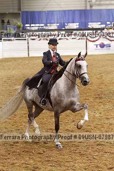 Proof 09usn-07987