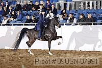 09usn-07991 proof