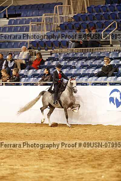 Proof 09usn-07995