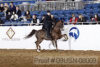 09usn-08009 proof