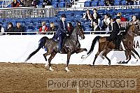 09usn-08013 proof