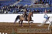 09usn-08014 proof