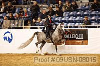 09usn-08015 proof
