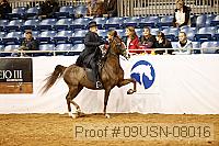 09usn-08016 proof
