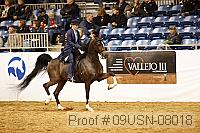 09usn-08018 proof