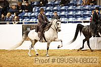 09usn-08022 proof