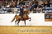 09usn-08025 proof