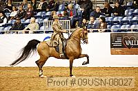 09usn-08027 proof
