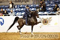 09usn-08028 proof