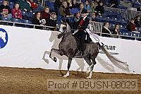 09usn-08029 proof