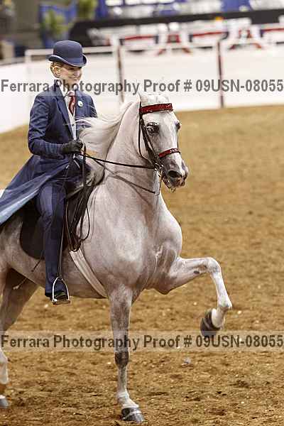 Proof 09usn-08055