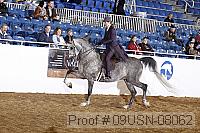09usn-08062 proof