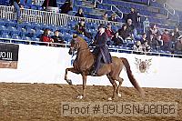 09usn-08066 proof