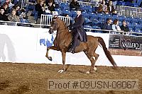 09usn-08067 proof