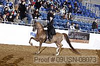 09usn-08073 proof