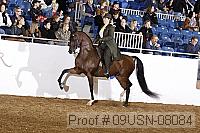 09usn-08084 proof