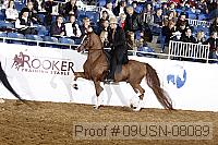 09usn-08089 proof