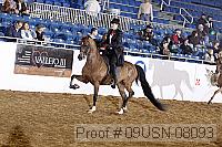 09usn-08093 proof