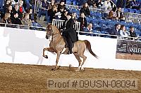 09usn-08094 proof