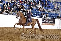 09usn-08095 proof