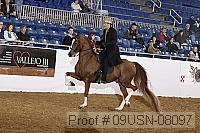 09usn-08097 proof