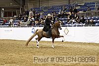 09usn-08098 proof