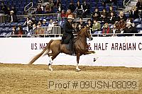 09usn-08099 proof