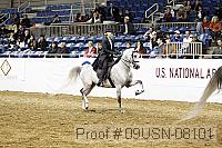 09usn-08101 proof