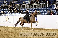 09usn-08103 proof