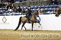 09usn-08104 proof