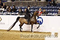 09usn-08105 proof