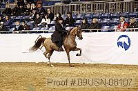 09usn-08107 proof